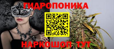 apvp Обнинск