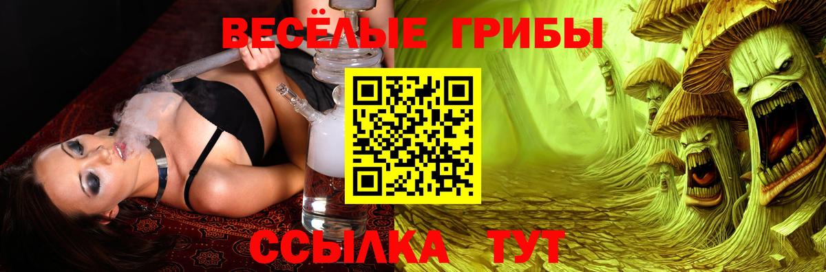 Галлюциногенные грибы ЛСД  Вход с VPN  Галлюциногенные грибы Psilocybine cubensis  Тамбов 