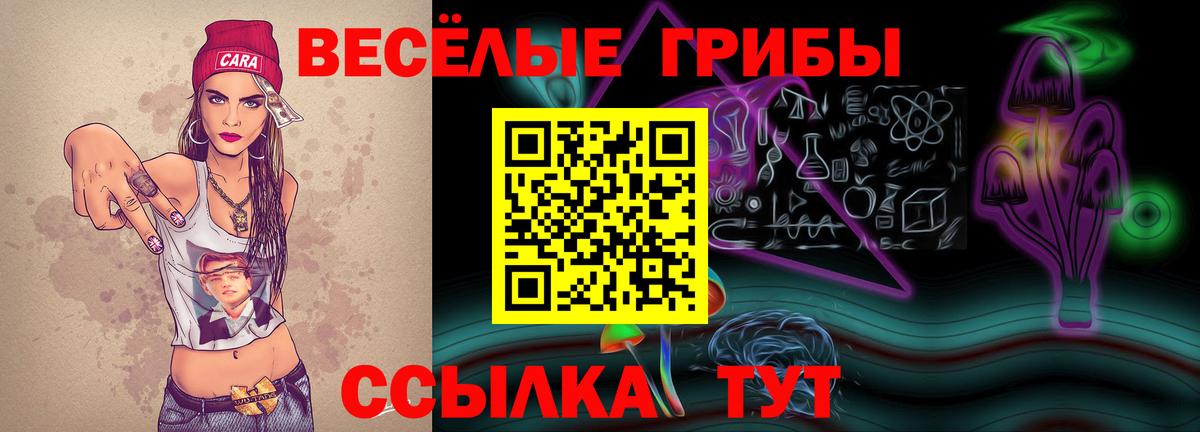 Псилоцибиновые грибы мухоморы Тамбов
