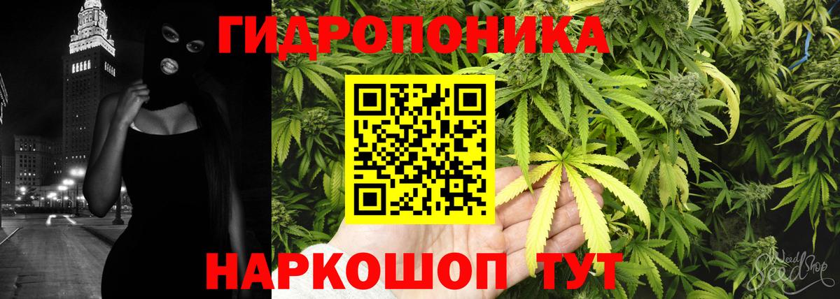 Марихуана White Widow  Вход с VPN  Конопля гибрид  Канабис White Widow  Тамбов 